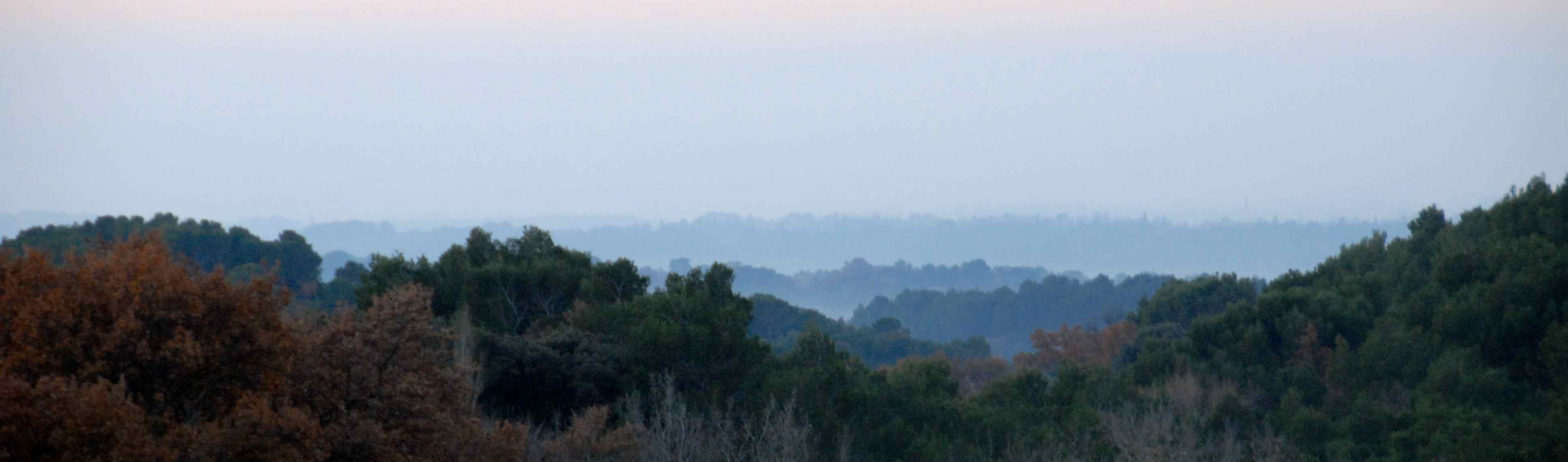 Berge im Morgennebel henri digital.jpg