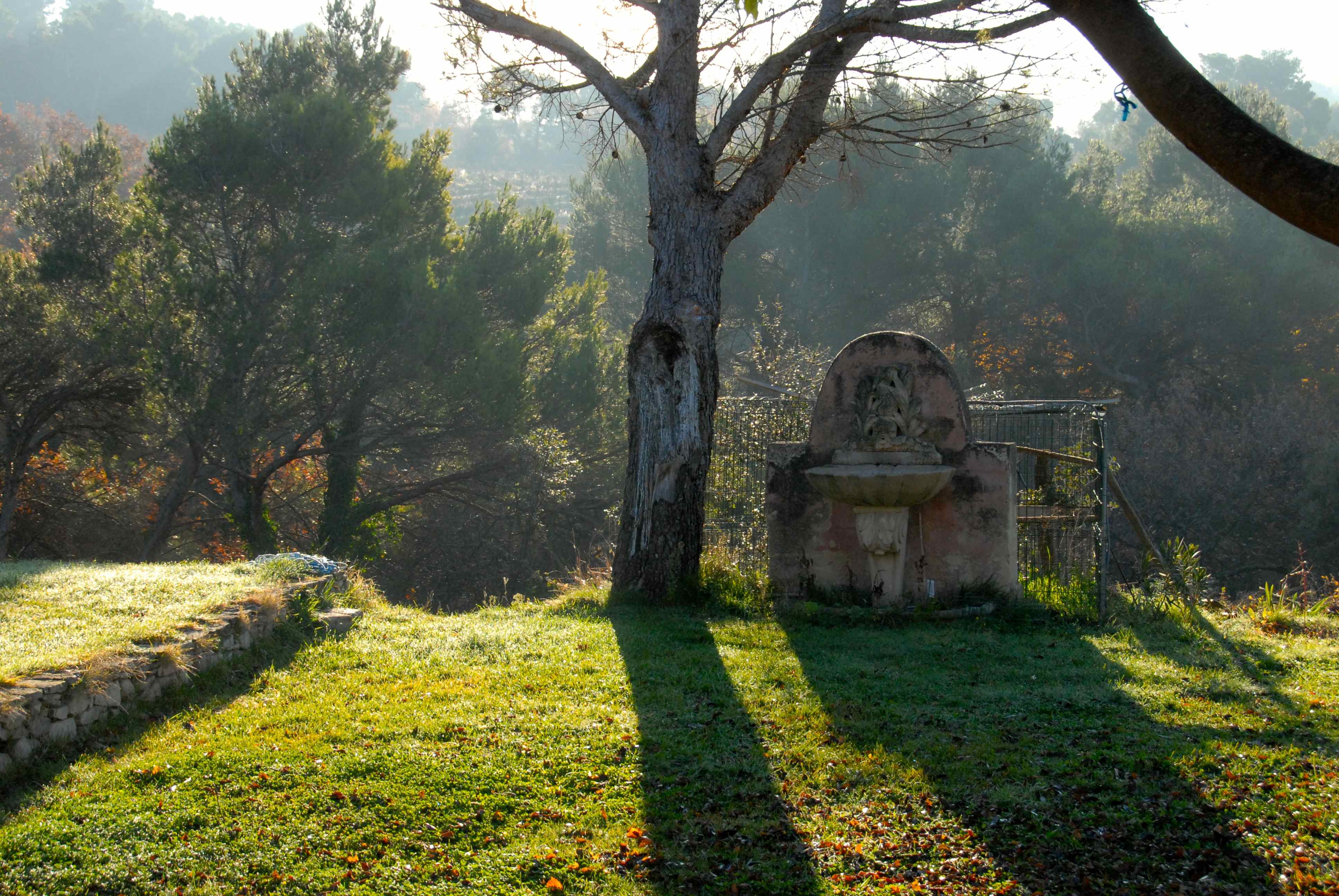 Brunnen henri.jpg