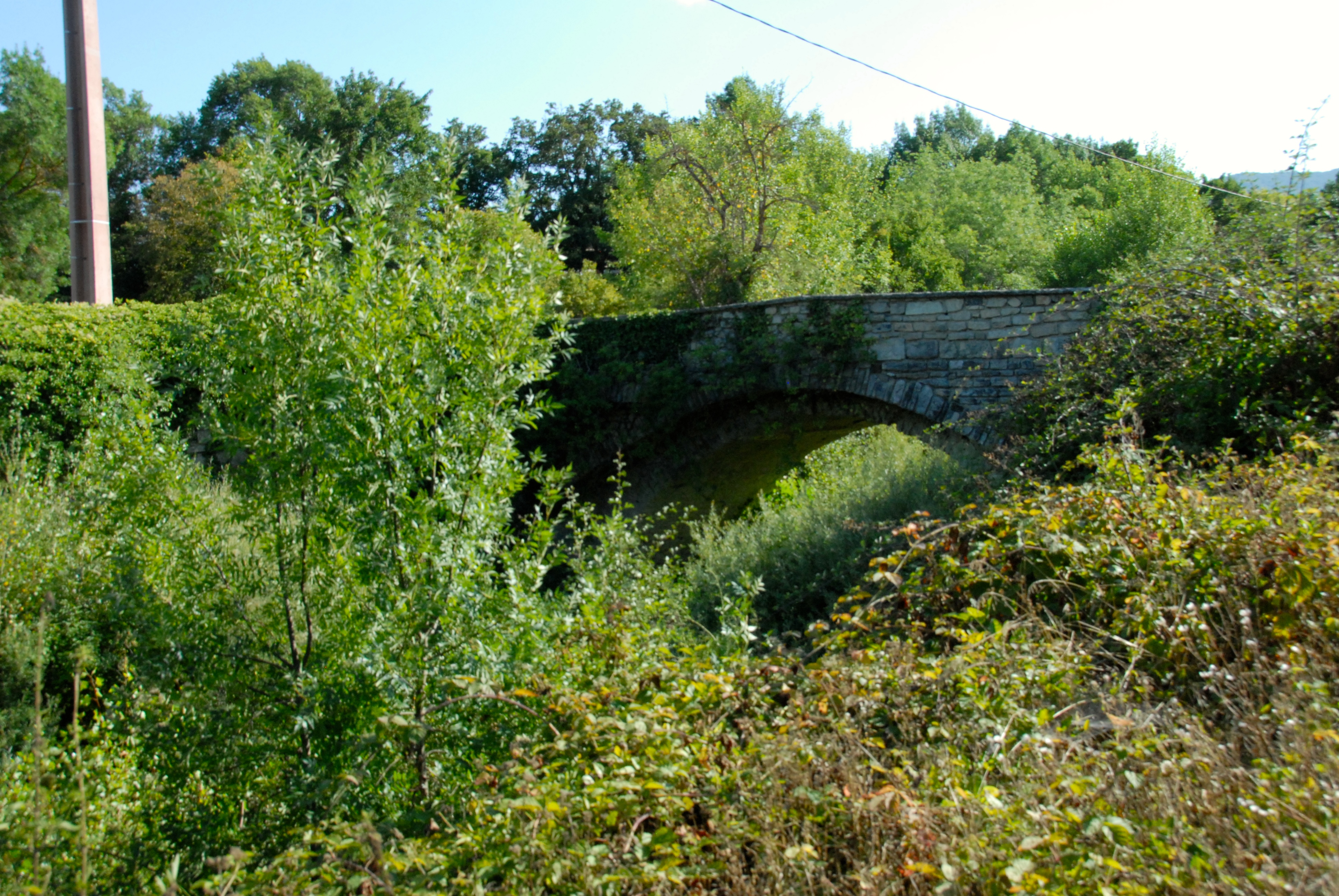 ING_9016.JPG