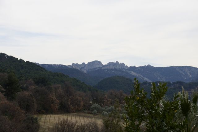 Le Clos de Caveau.jpg