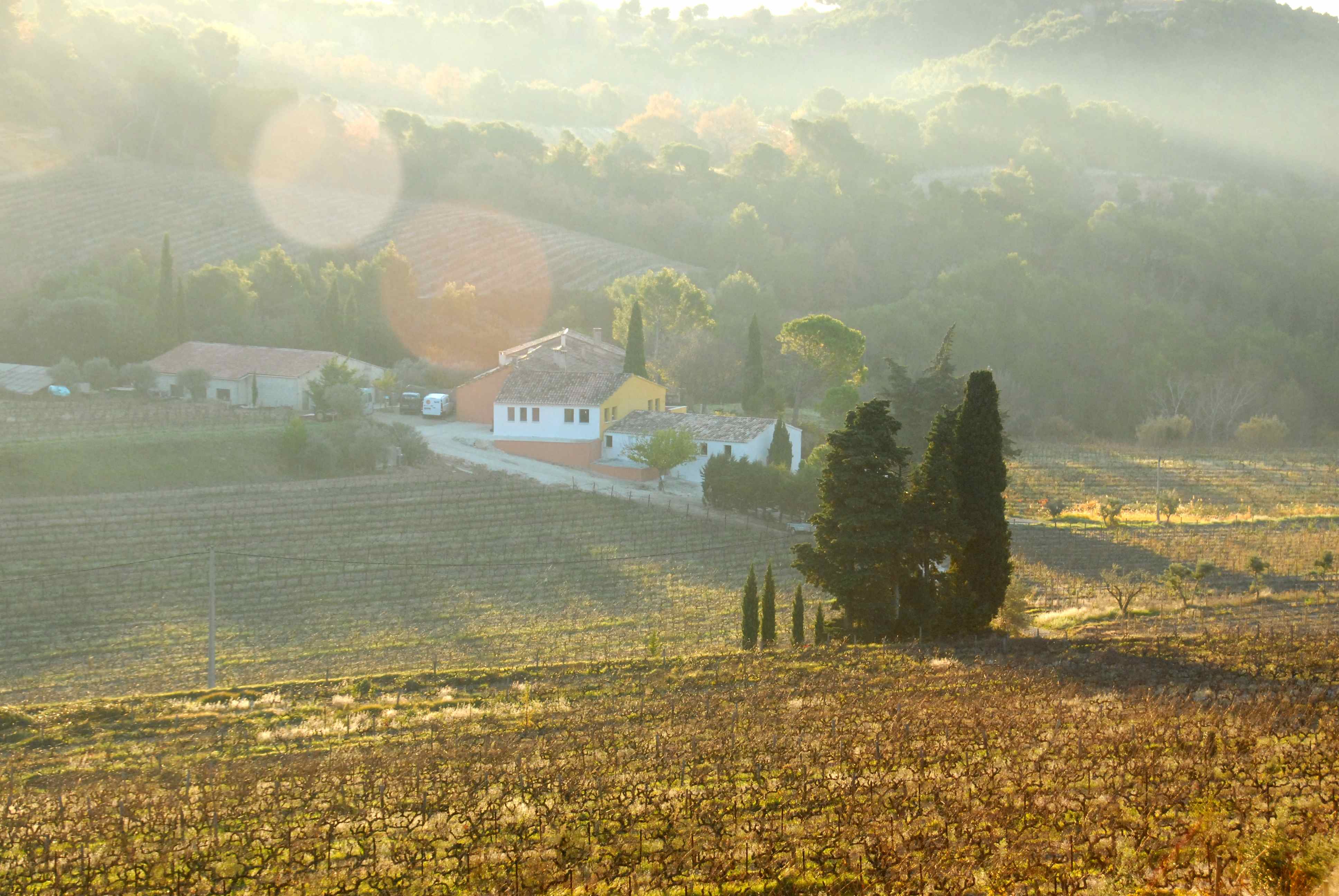 clos de caveau morgennebel digital.jpg